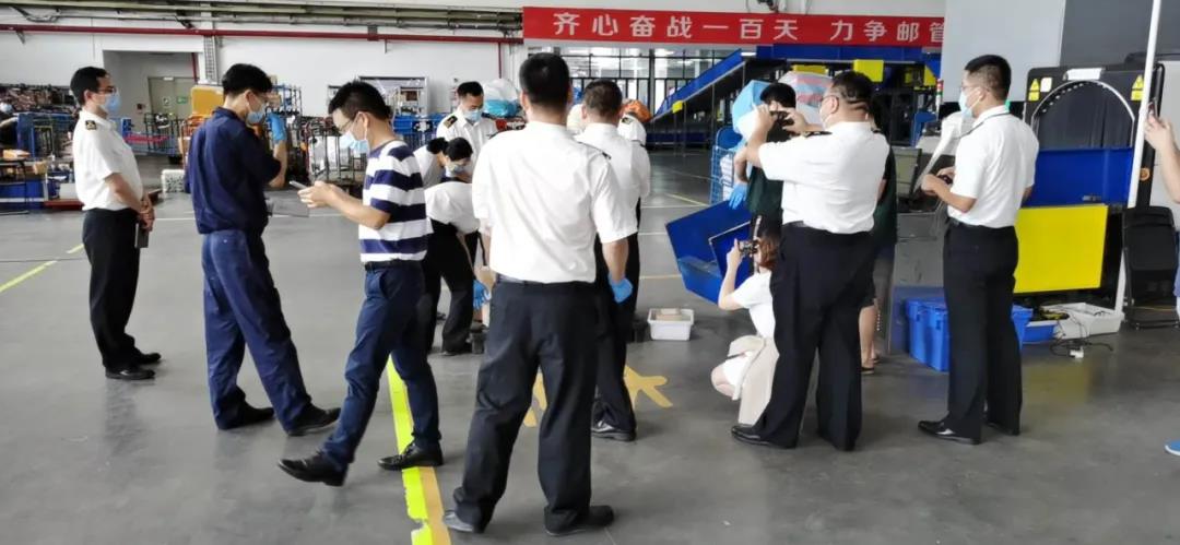 报关|运输|仓储