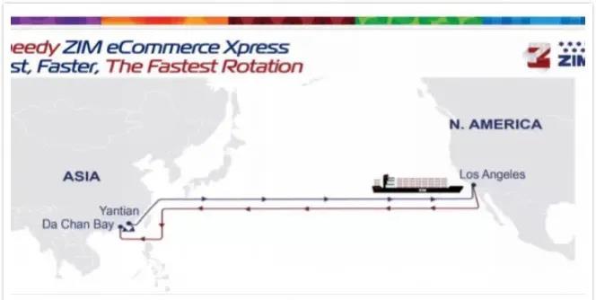 报关|运输|仓储 报关|运输|仓储